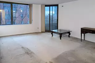 480 N McClurg Ct, Chicago, IL 60611 - Photo 5