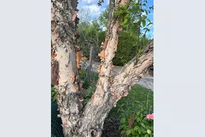 [Address not provided], Saint John, IL 61873 - Photo 17