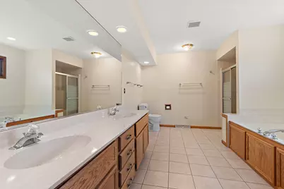 613 McDivitt Drive, New Lenox, IL 60451 - Photo 27