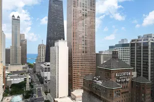 118 E Erie St, Chicago, IL 60611 - Photo 33