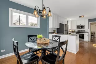 4645 Grand Ave, Western Springs, IL 60558 - Photo 11