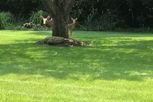 5801 Port Clinton Rd, Long Grove, IL 60047 - Photo 33