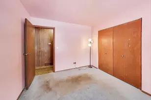 10 Pine Ave, Lake Zurich, IL 60047 - Photo 17