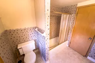 308 S Jackson St, Flanagan, IL 61740 - Photo 23