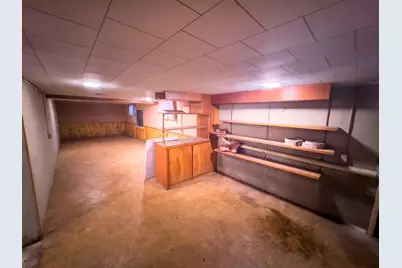 308 S Jackson Street, Flanagan, IL 61740 - Photo 33