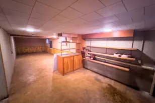 308 S Jackson St, Flanagan, IL 61740 - Photo 33