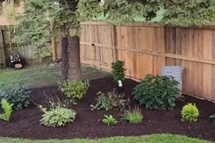 1449 Greenwood Ave, Ford Heights, IL 60411 - Photo 5