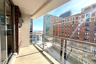 420 W Belmont Ave, Chicago, IL 60657 - Photo 9