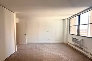 420 W Belmont Ave, Chicago, IL 60657 - Photo 35