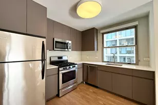 420 W Belmont Ave, Chicago, IL 60657 - Photo 3