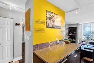 450 W Briar Pl, Chicago, IL 60657 - Photo 13