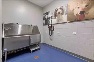 420 W Belmont Ave, Chicago, IL 60657 - Photo 7