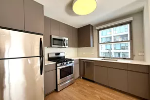 420 W Belmont Ave, Chicago, IL 60657 - Photo 17