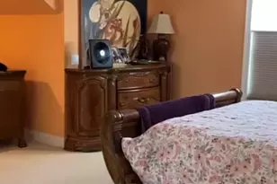 2727 Sweetbroom Ct, Naperville, IL 60565 - Photo 9