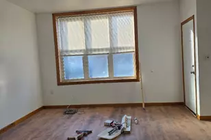 2949 S Emerald Ave, Chicago, IL 60616 - Photo 9