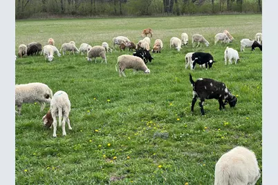 3303 E Exchange Street, Crete, IL 60417 - Photo 37