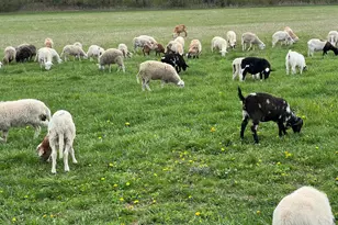 3303 E Exchange St, Crete, IL 60417 - Photo 37