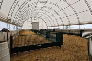 3303 E Exchange St, Crete, IL 60417 - Photo 27