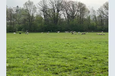 3303 E Exchange Street, Crete, IL 60417 - Photo 35