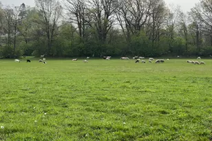 3303 E Exchange St, Crete, IL 60417 - Photo 39