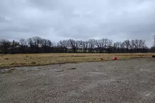 3303 E Exchange St, Crete, IL 60417 - Photo 35