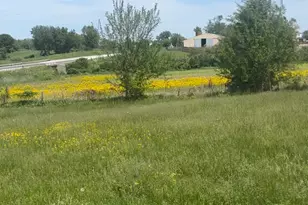 3303 E Exchange St, Crete, IL 60417 - Photo 37