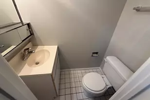 744 W Gordon Terrace, Chicago, IL 60613 - Photo 7