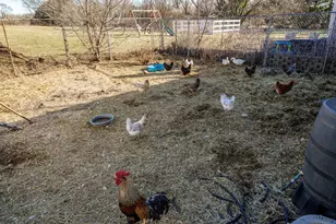 16285 Cannell Rd, Rockton, IL 61072 - Photo 53