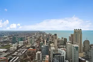 14 W Superior St, Chicago, IL 60654 - Photo 37