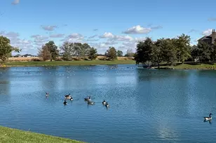 8613 High Stone Way, Frankfort, IL 60423 - Photo 49