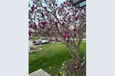 4407 Klatt Street, Plano, IL 60545 - Photo 19