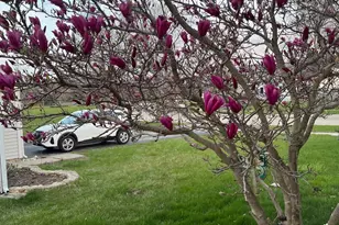 4407 Klatt St, Plano, IL 60545 - Photo 19