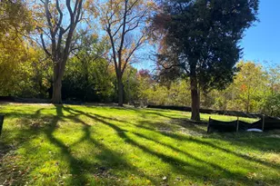 425 40th St, Downers Grove, IL 60515 - Photo 5