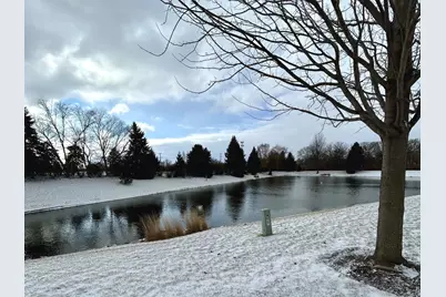 397 Cascade Lane #397, Oswego, IL 60543 - Photo 29