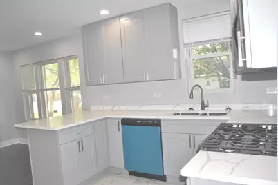 10052 S Green Street, Chicago, IL 60643 - Photo 3