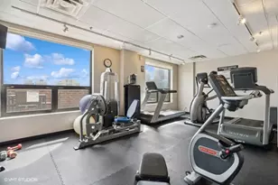 1250 N Dearborn St, Chicago, IL 60610 - Photo 13