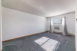 10117 S Cicero Ave, Oak Lawn, IL 60453 - Photo 13