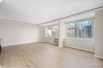 211 E Ohio Street #2806, Chicago, IL 60611 - Photo 11