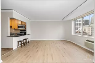 211 E Ohio St, Chicago, IL 60611 - Photo 3