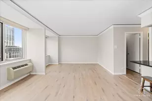 211 E Ohio St, Chicago, IL 60611 - Photo 7