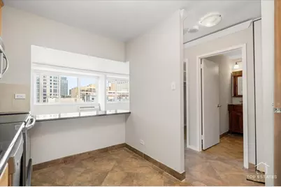 211 E Ohio Street #2806, Chicago, IL 60611 - Photo 17