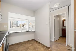 211 E Ohio St, Chicago, IL 60611 - Photo 17