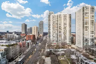 1360 N Sandburg Terrace, Chicago, IL 60610 - Photo 9