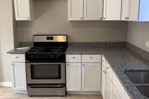 9211 S Clyde Ave, Chicago, IL 60617 - Photo 3