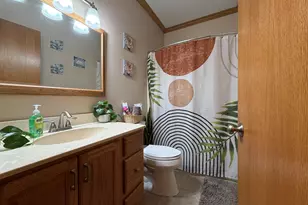 1414 E Heather Dr, Mahomet, IL 61853 - Photo 33