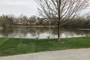 15817 S Orlan Brook Dr, Orland Park, IL 60462 - Photo 27