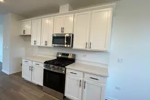 4515 Chelsea Mnr Cir, Aurora, IL 60504 - Photo 11