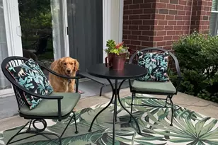 7753 Van Buren St, Forest Park, IL 60130 - Photo 17