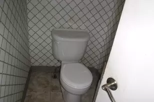 9334 S Pleasant Ave, Chicago, IL 60643 - Photo 11