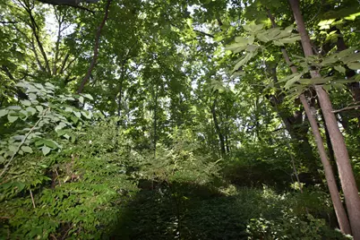35W247 Fox River Drive, Saint Charles, IL 60174 - Photo 11